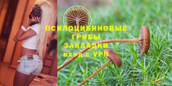 прущие грибы Верхнеуральск