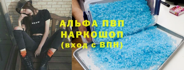 a pvp Бородино