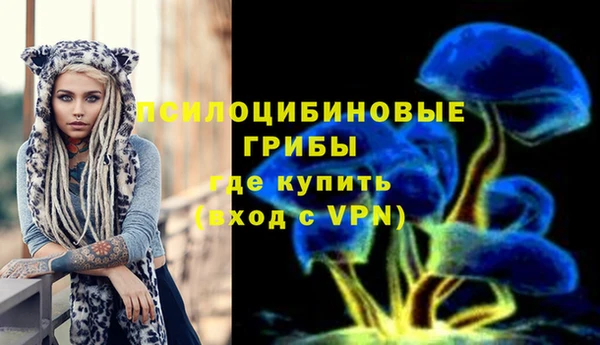 прущие грибы Верхнеуральск