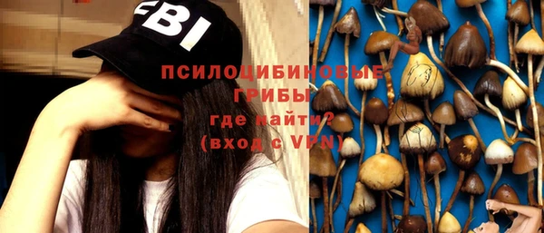 прущие грибы Верхнеуральск