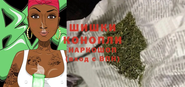 крисы Бронницы