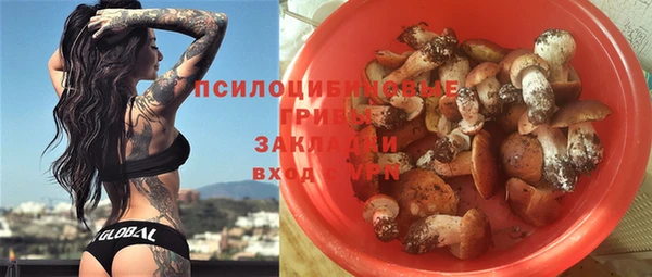 a pvp Бородино