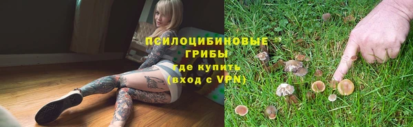 крисы Бронницы