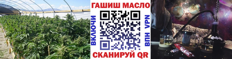 ТГК Wax  Мезень 